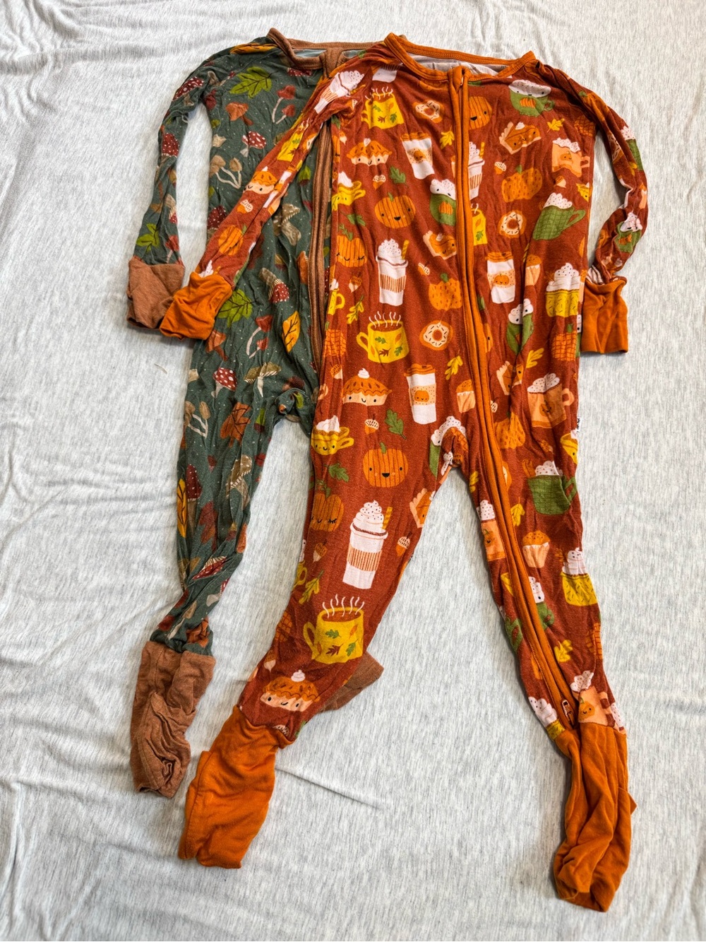 Little Sleepies Fall Zippie Bundle 18-24M
